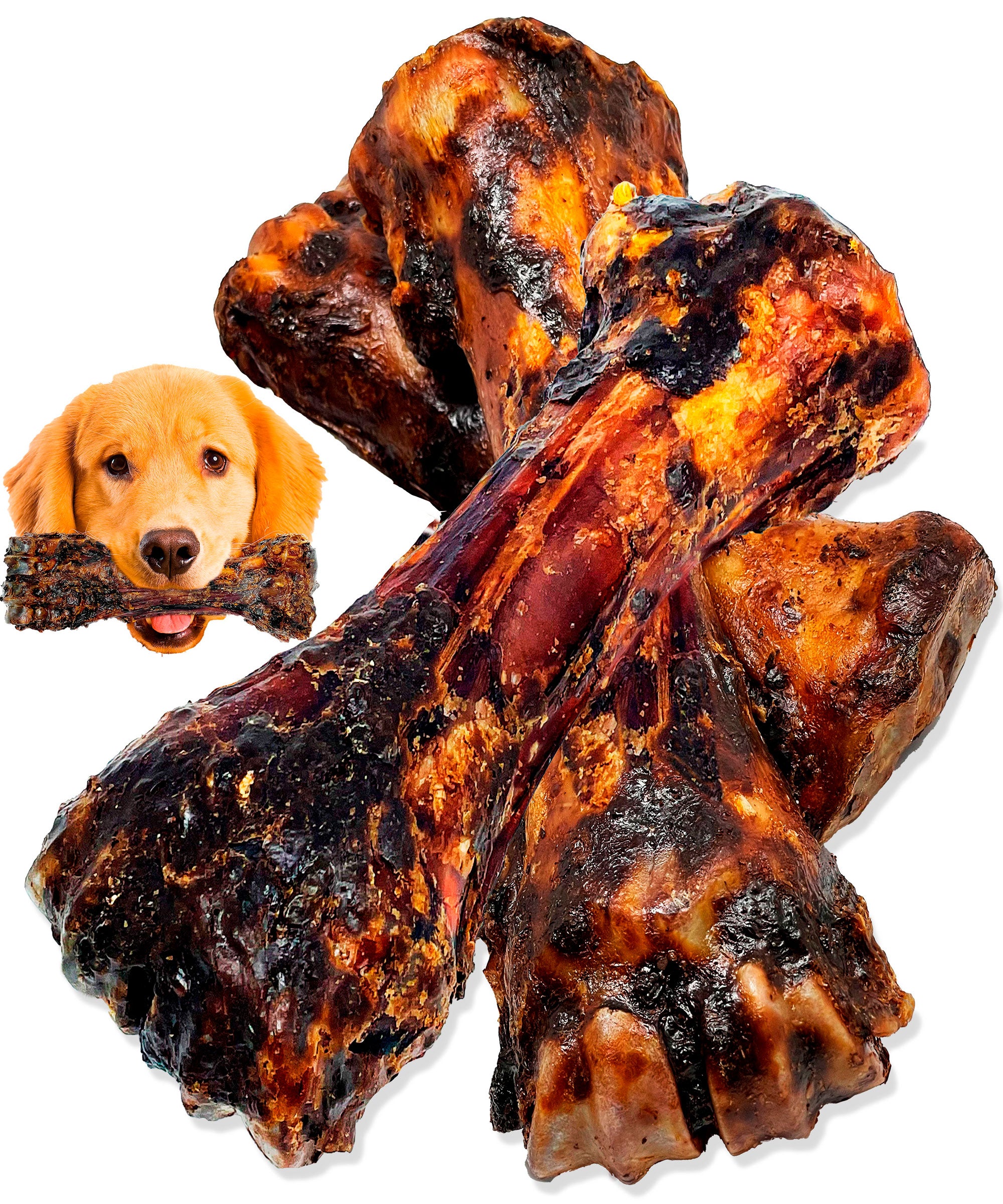 Can zimbabwe dogs eat bbq rib bones